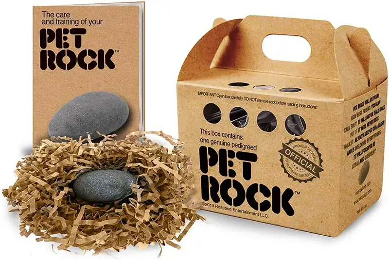 Weird Business Ideas That Made Millions Pet rock