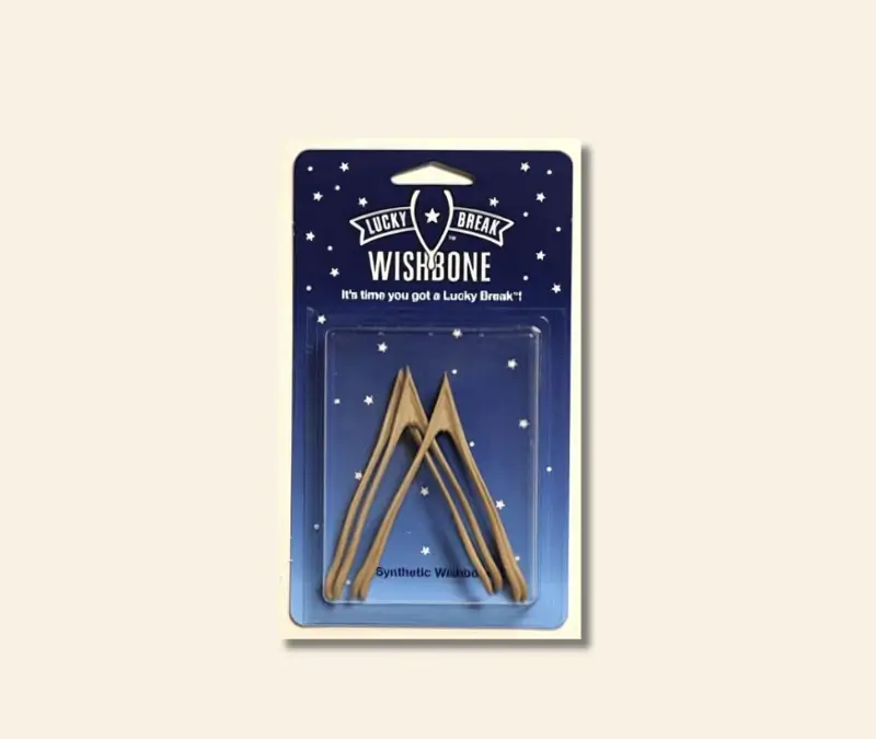 Weird-Business-Ideas-That-Made-Millions-Wishbone-