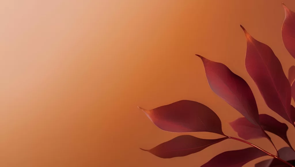 Free Desktop Laptop Wallpaper November Autumn
