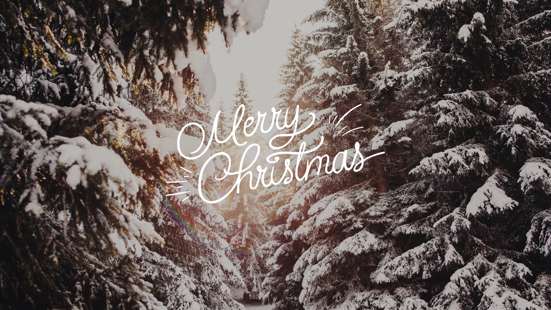 Snowy forest winter screen wallpaper with snow-covered pine trees and elegant 'Merry Christmas' typography overlay