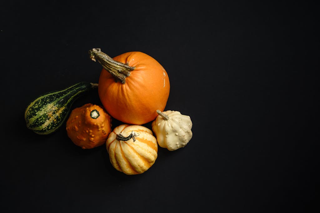 A vibrant display of assorted gourds and pumpkins against a dark background, perfect for autumn themes.