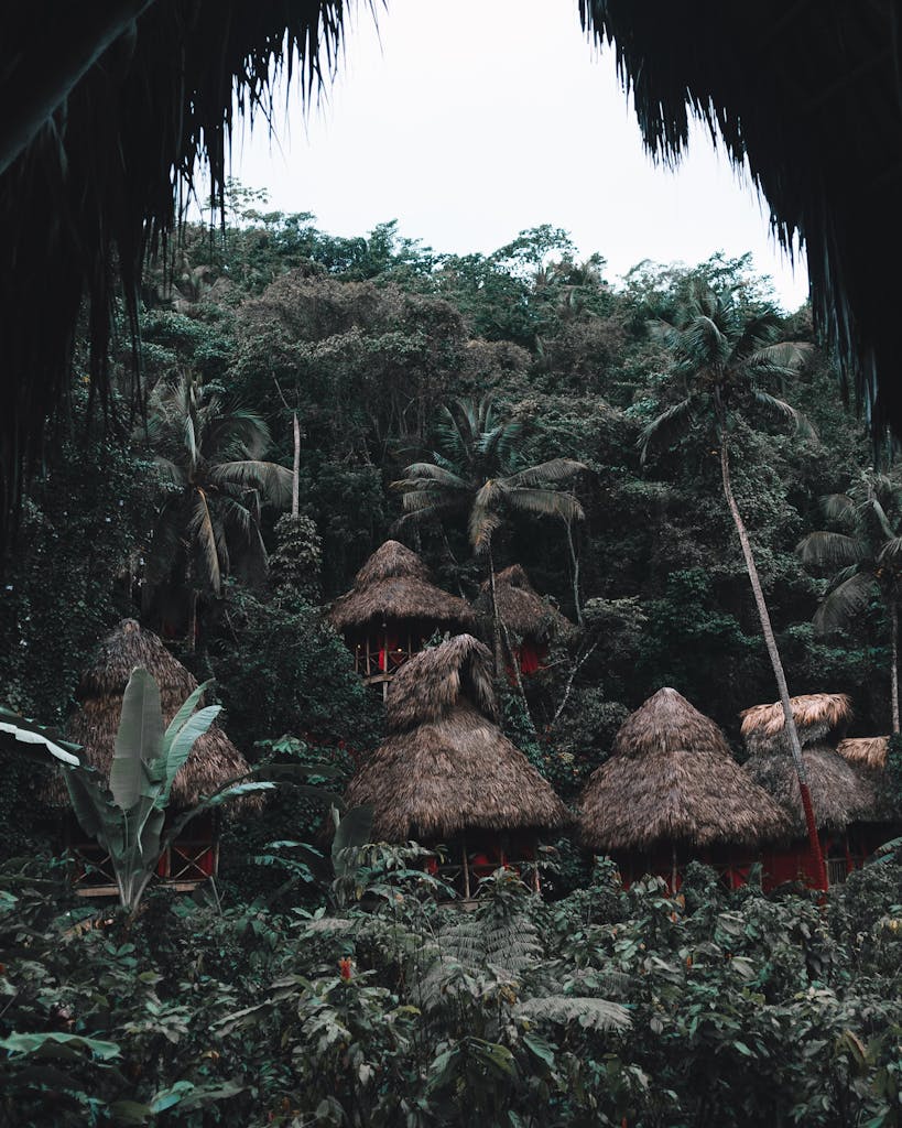 Explore traditional nipa huts surrounded by lush tropical jungle in Samaná, Dominican Republic.