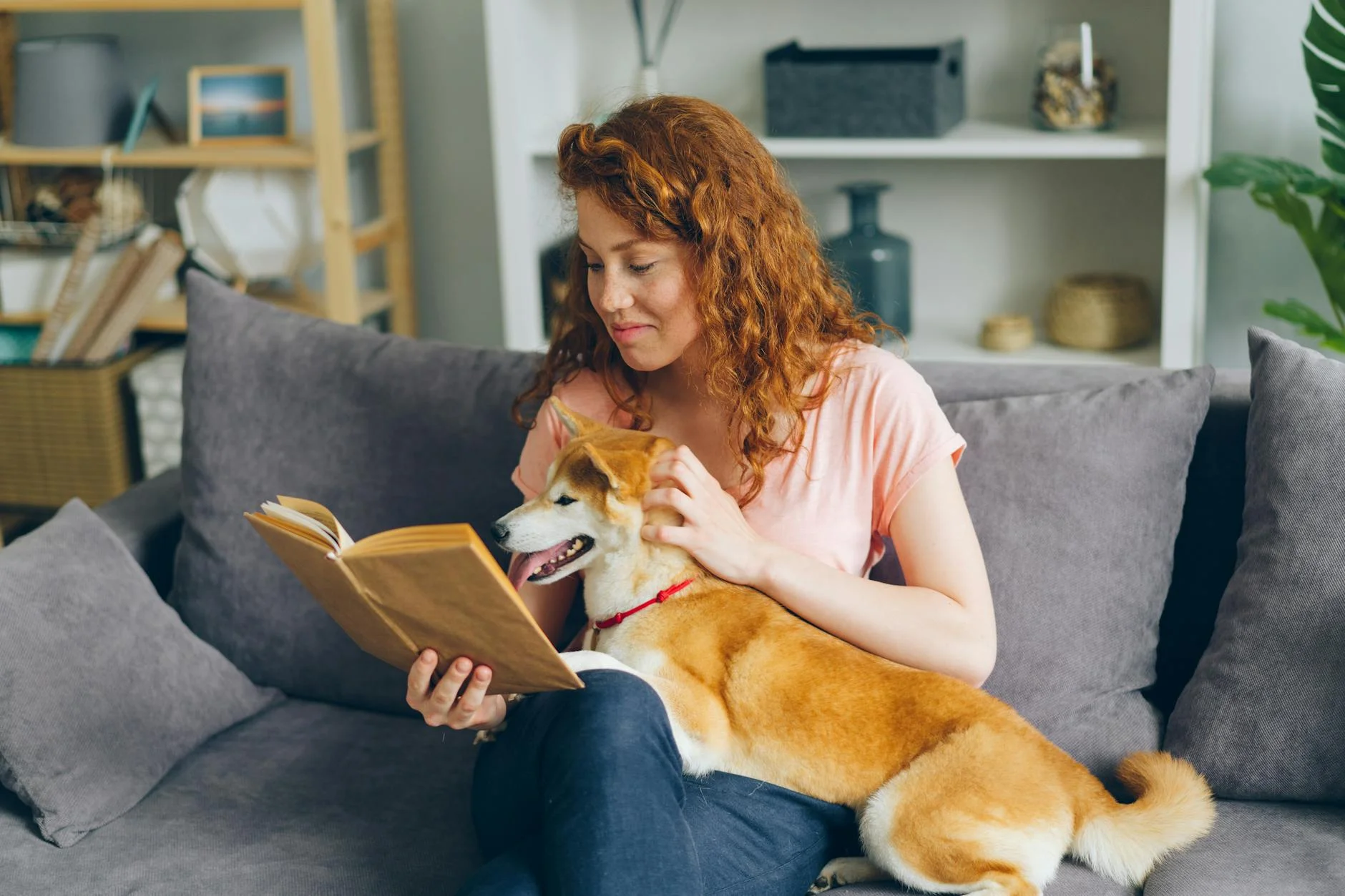 a woman reading a book on a sofa