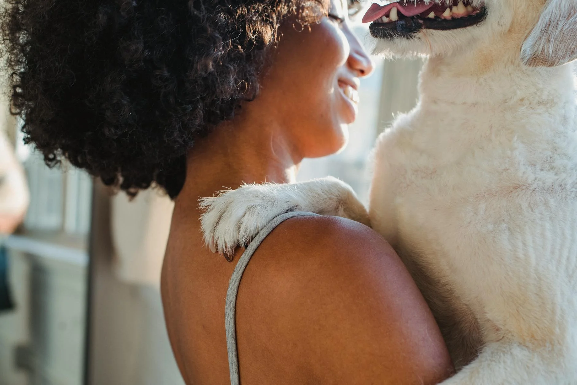 crop black woman holding dog