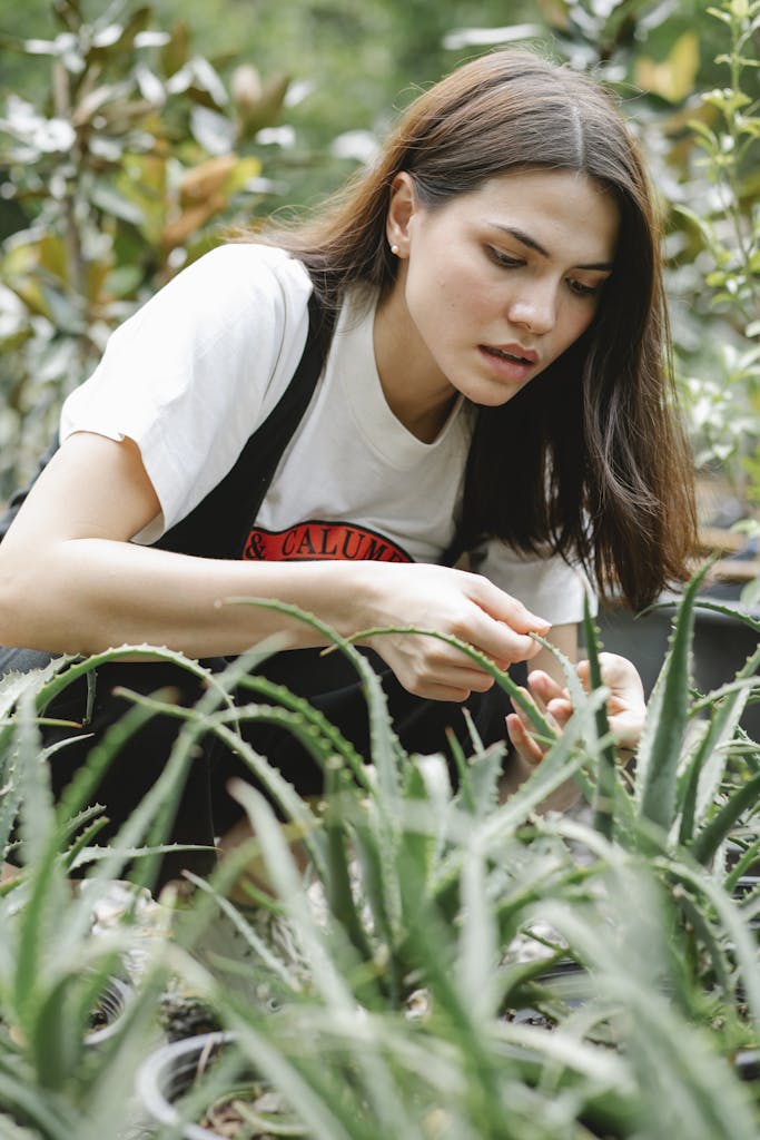 A focused young woman tending aloe vera plants in an outdoor garden setting.