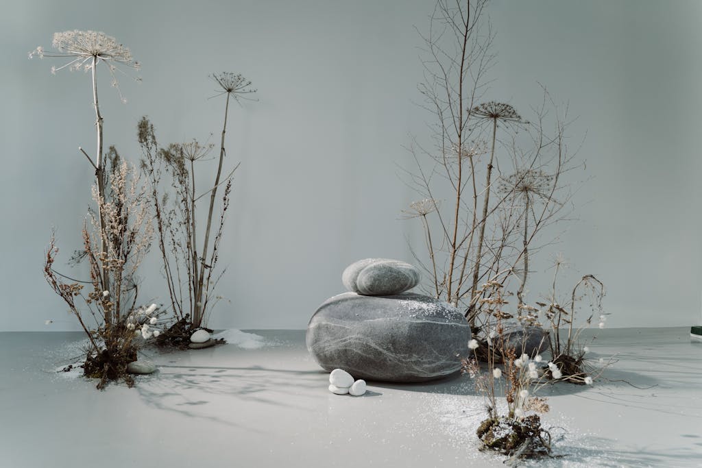 A minimalist arrangement of stones and dried plants evoking tranquility and balance.
