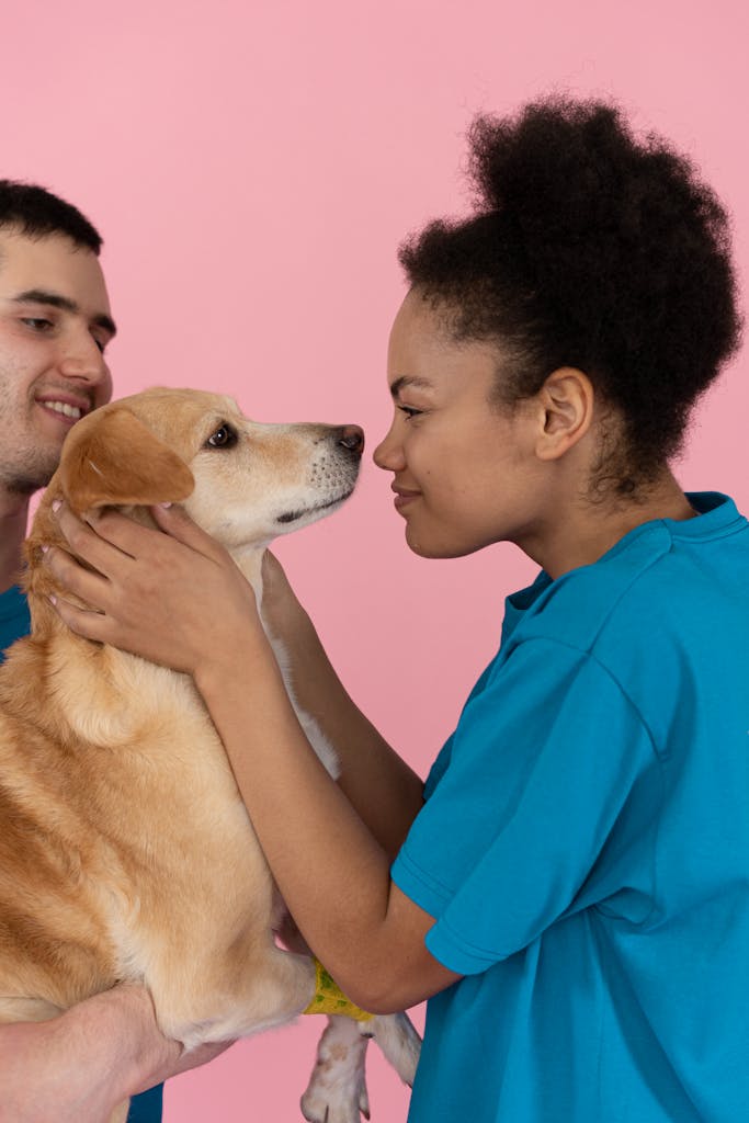 Cheerful moment of two volunteers bonding with a dog in a studio.