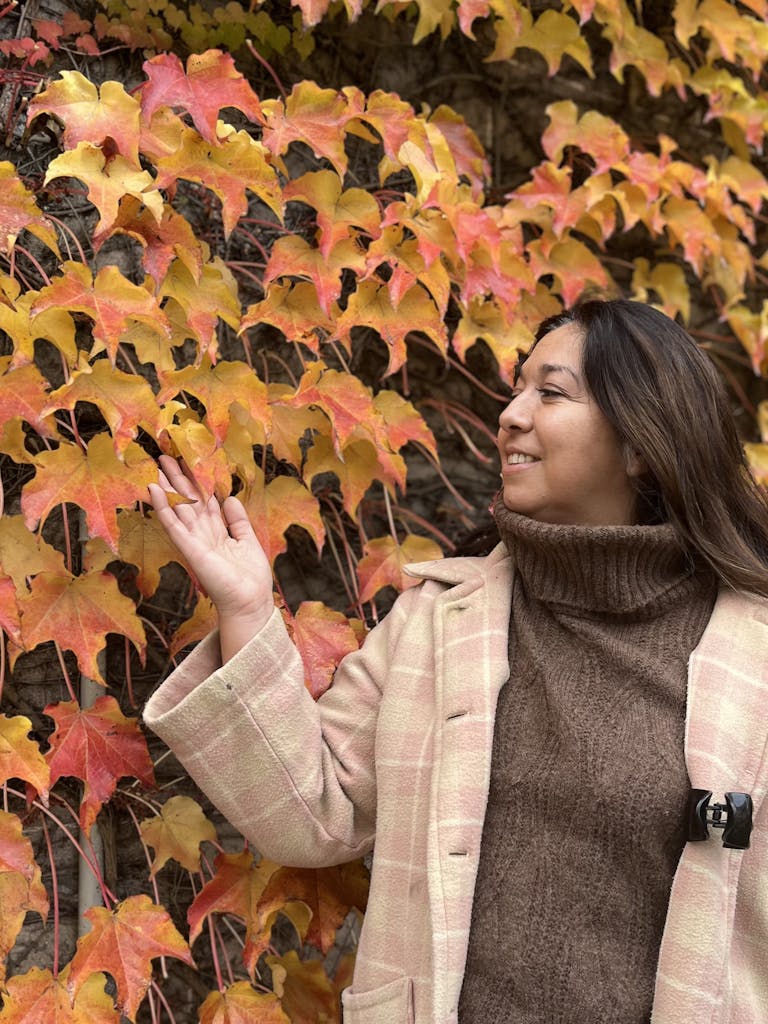 En otoño …