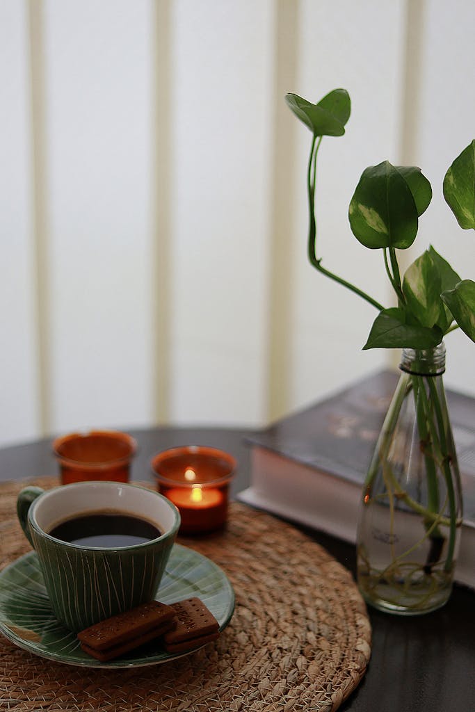 Free stock photo of afternoon coffee, aromatic coffee, book