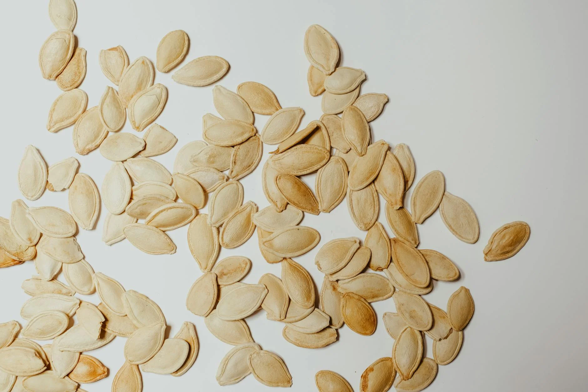 close up shot of pumpkin seeds