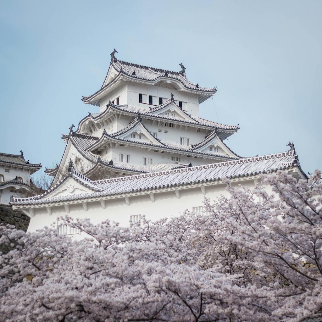 Stunning view of Himeji Castle surrounded by cherry blossoms in spring, Japan.
