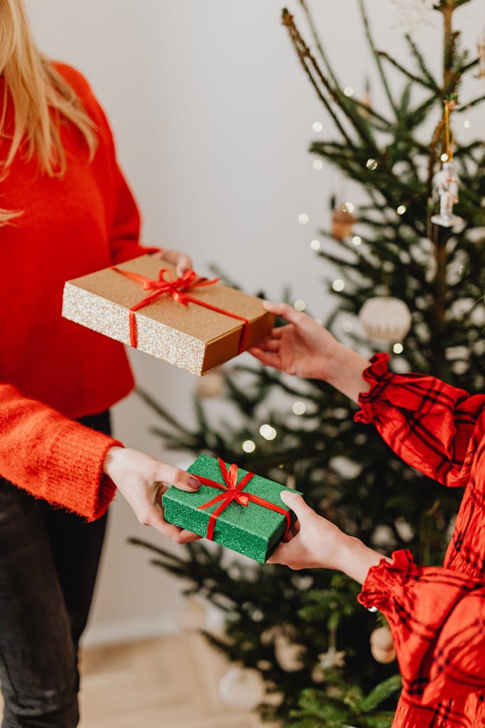 Two people exchanging gifts in front of a decorated Christmas tree indoors.