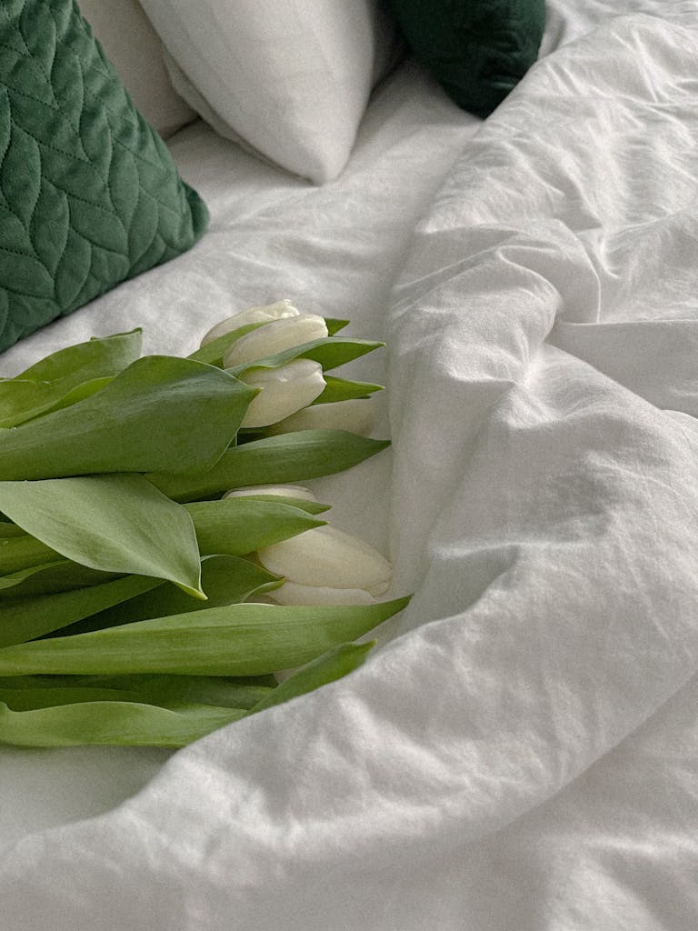 White tulips elegantly arranged on a cozy bed with green pillows, capturing a serene indoor atmosphere.