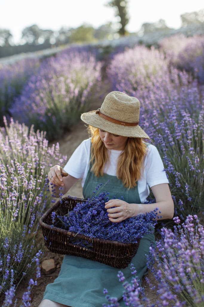 Woman in straw hat harvesting lavender in a picturesque field during daytime, symbolizing nature and tranquility.
