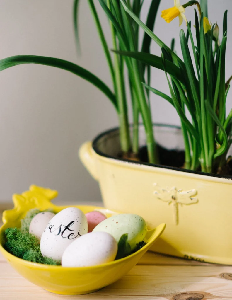 Vibrant Easter eggs displayed with a daffodil plant in a charming spring arrangement.