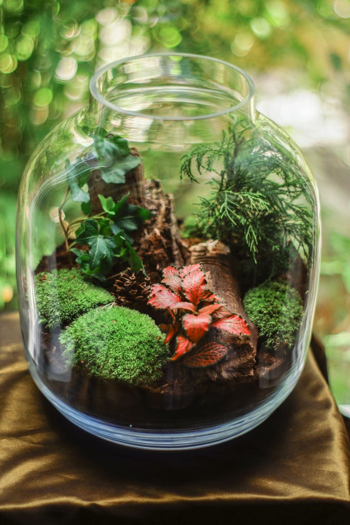 A detailed view of a lush terrarium with various plants in a clear glass jar.