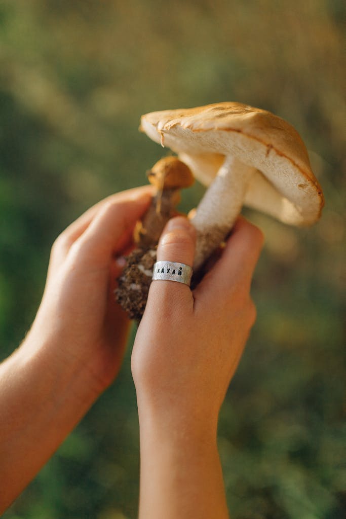 Detailed view of hands holding a wild mushroom, showcasing nature's beauty up close.
