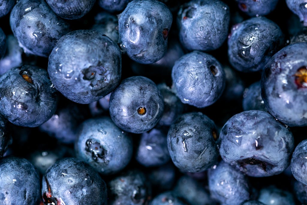 Macro shot of fresh, juicy blueberries highlighting their vibrant color and texture, perfect for highlighting healthy eating.