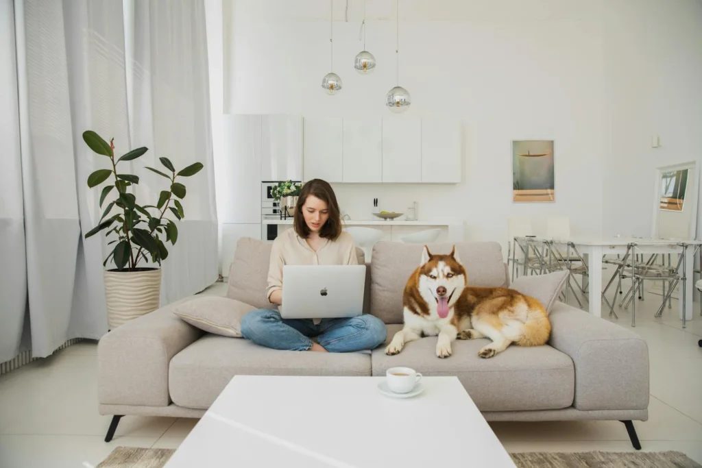 Young woman and Siberian Husky relaxing on the sofa with a laptop in a bright, modern living room.