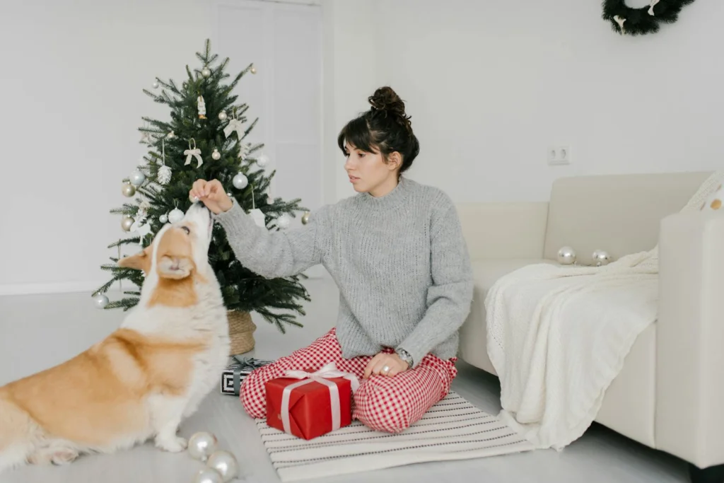 Woman in gray sweater enjoying holiday time indoors with her Corgi and gifts by a Christmas tree.