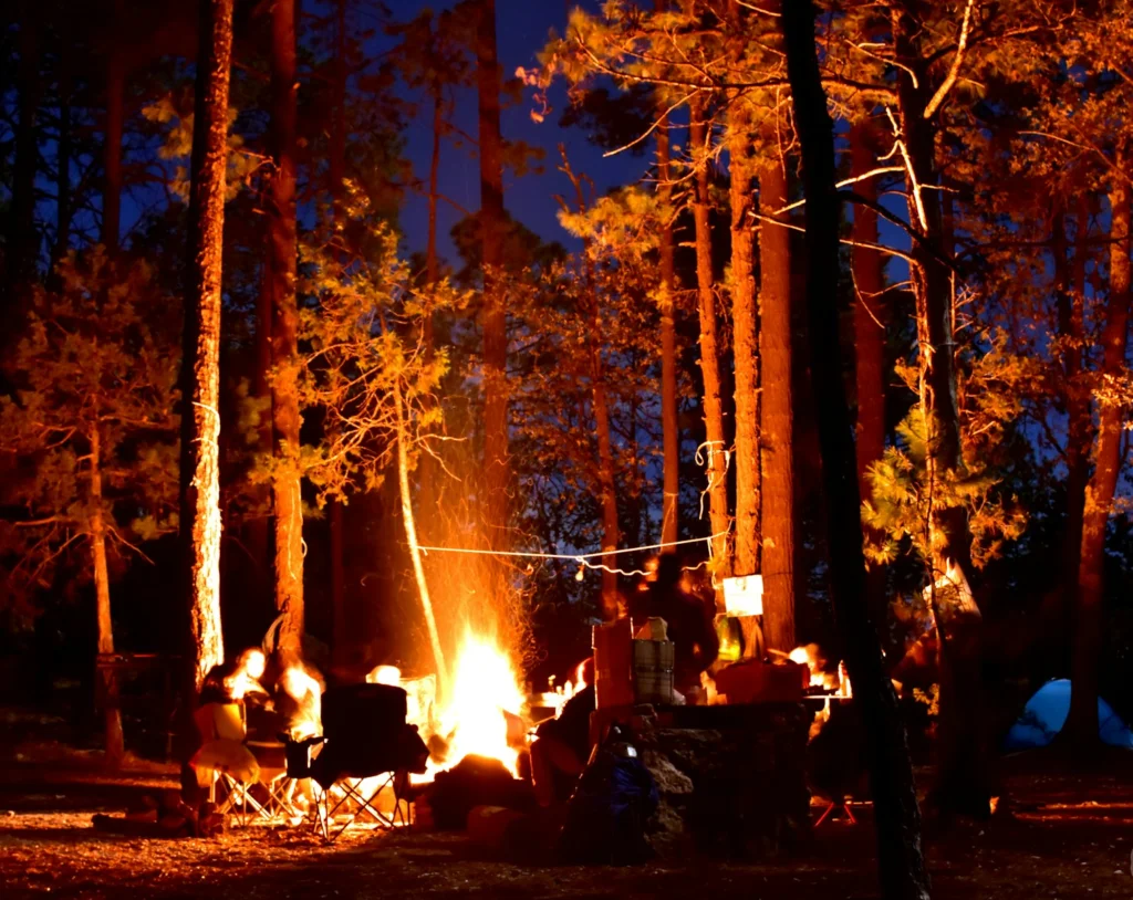 bonfire near trees during nighttime