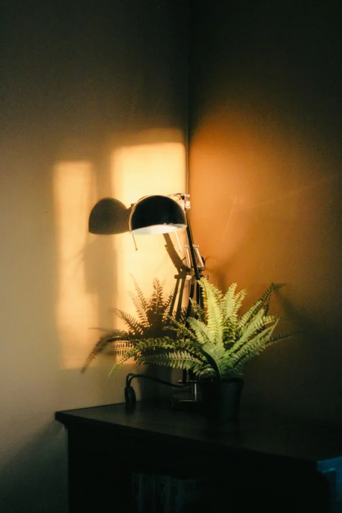 a potted plant sitting on top of a wooden table