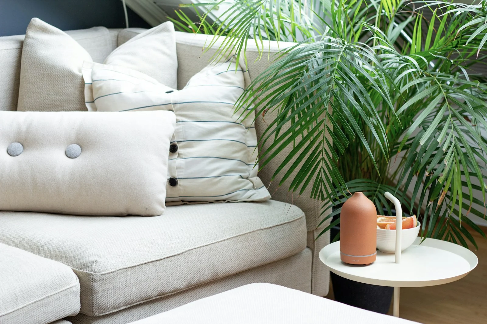 a living room with a couch, table and a potted plant