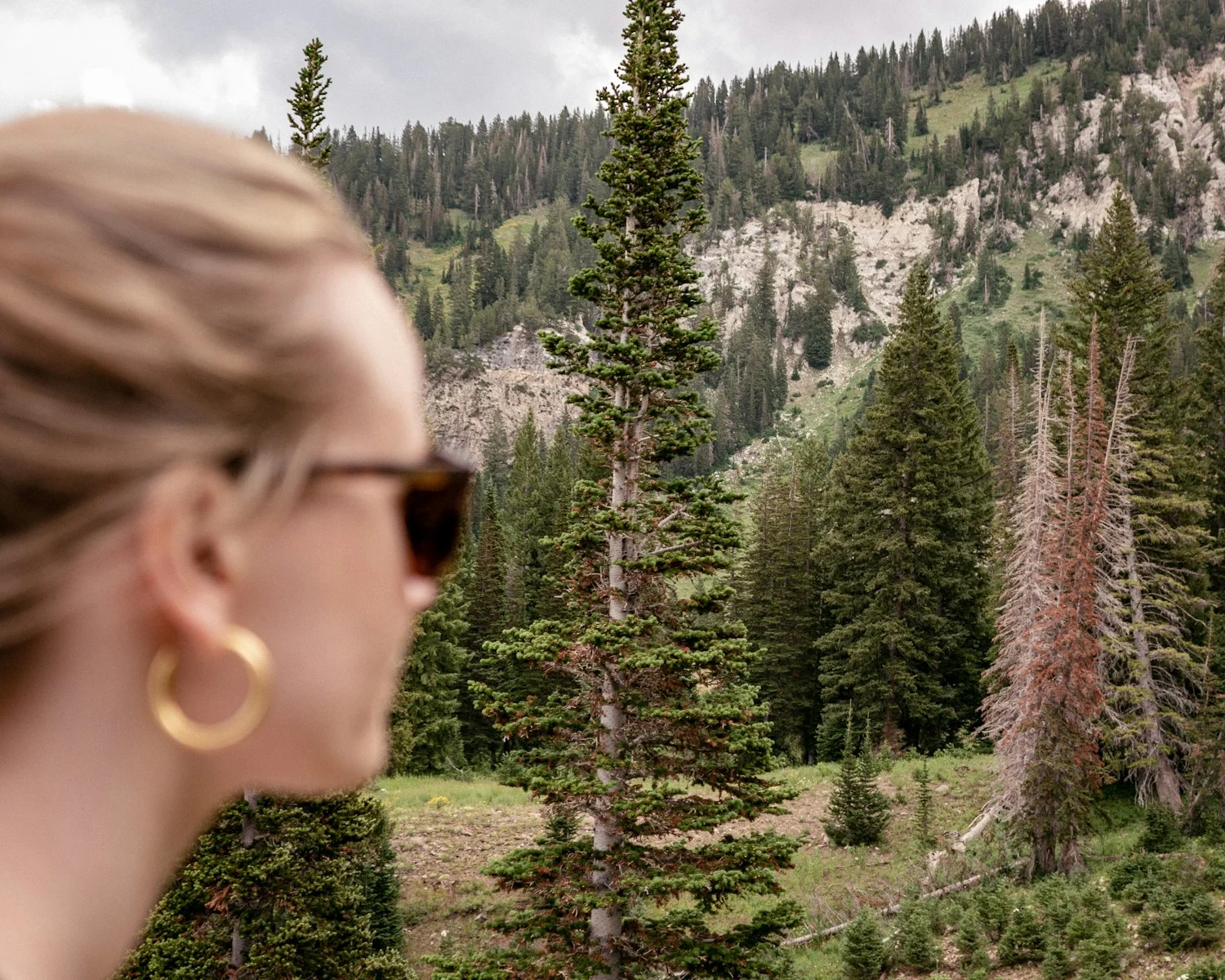 a person looking at a forest
