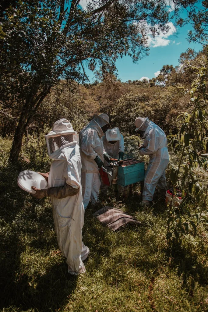Beekeepers in protective suits collecting honey from hive in forest under sunny sky.