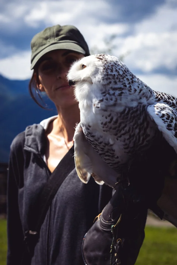 A woman holds a snowy owl outdoors with mountainous terrain in the background under a cloudy sky.