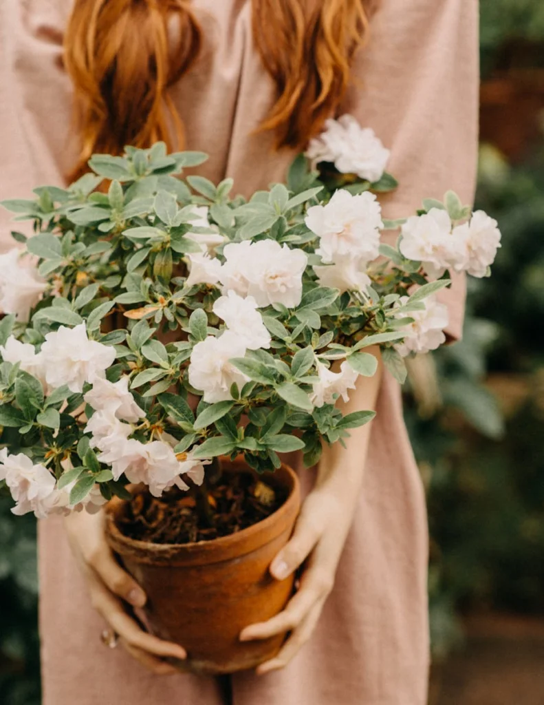 A serene scene of a woman holding a blooming potted plant outdoors in a garden setting.