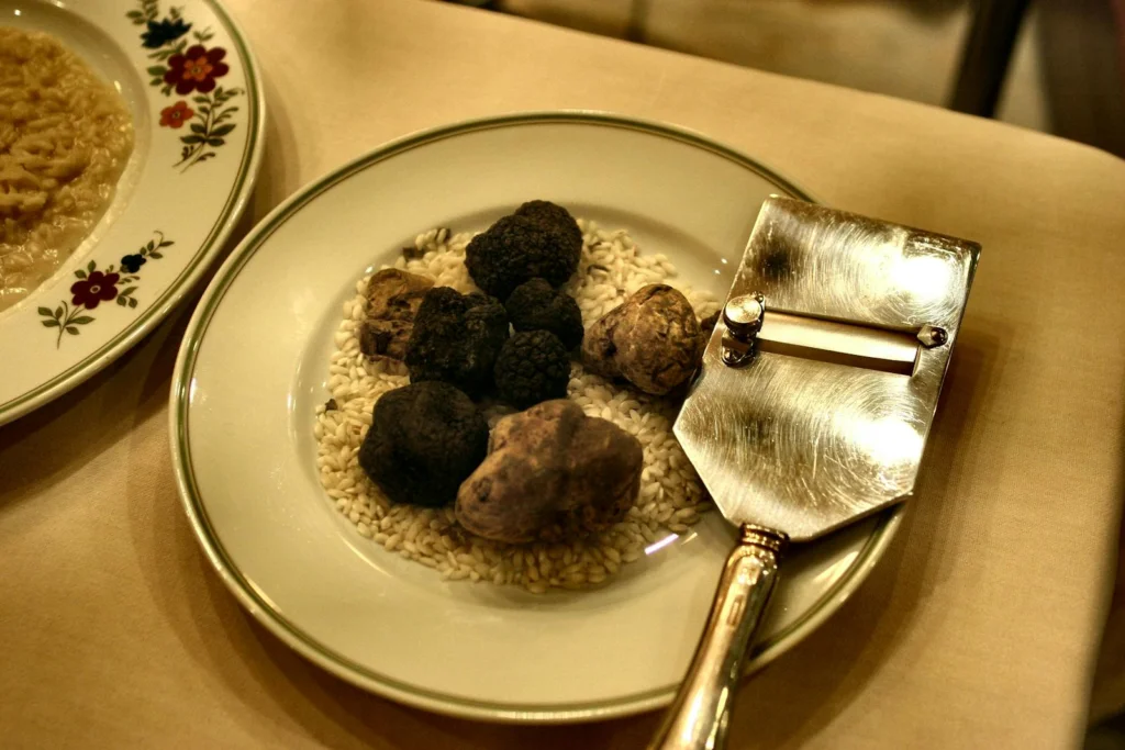 Elegant plate with truffles and rice, perfect for upscale dining themes.