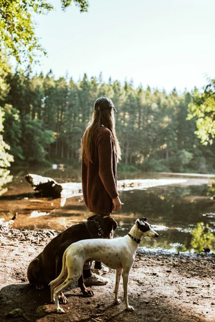 Walking in nature to lower cortisol and reduce stress