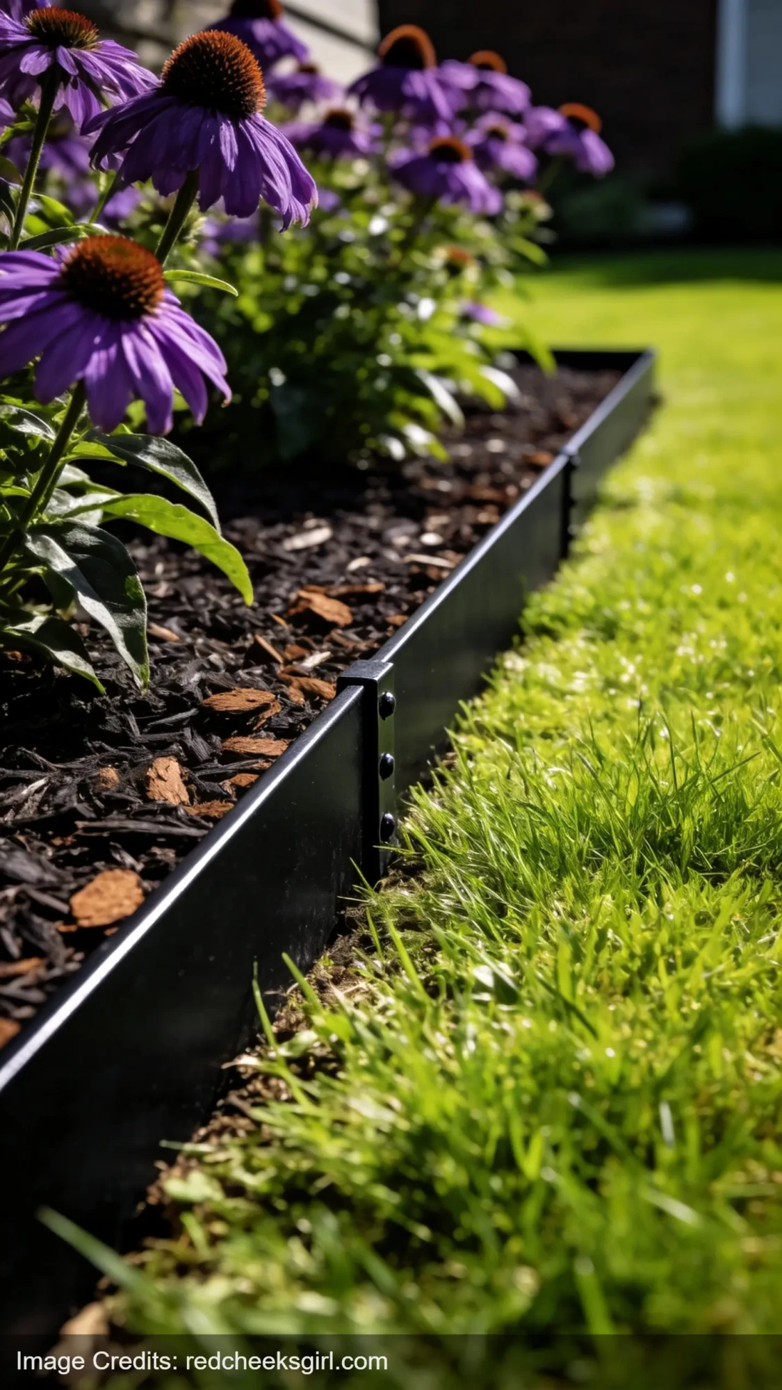 black metal landscape edging separating lawn from mulched flower bed with clean lines