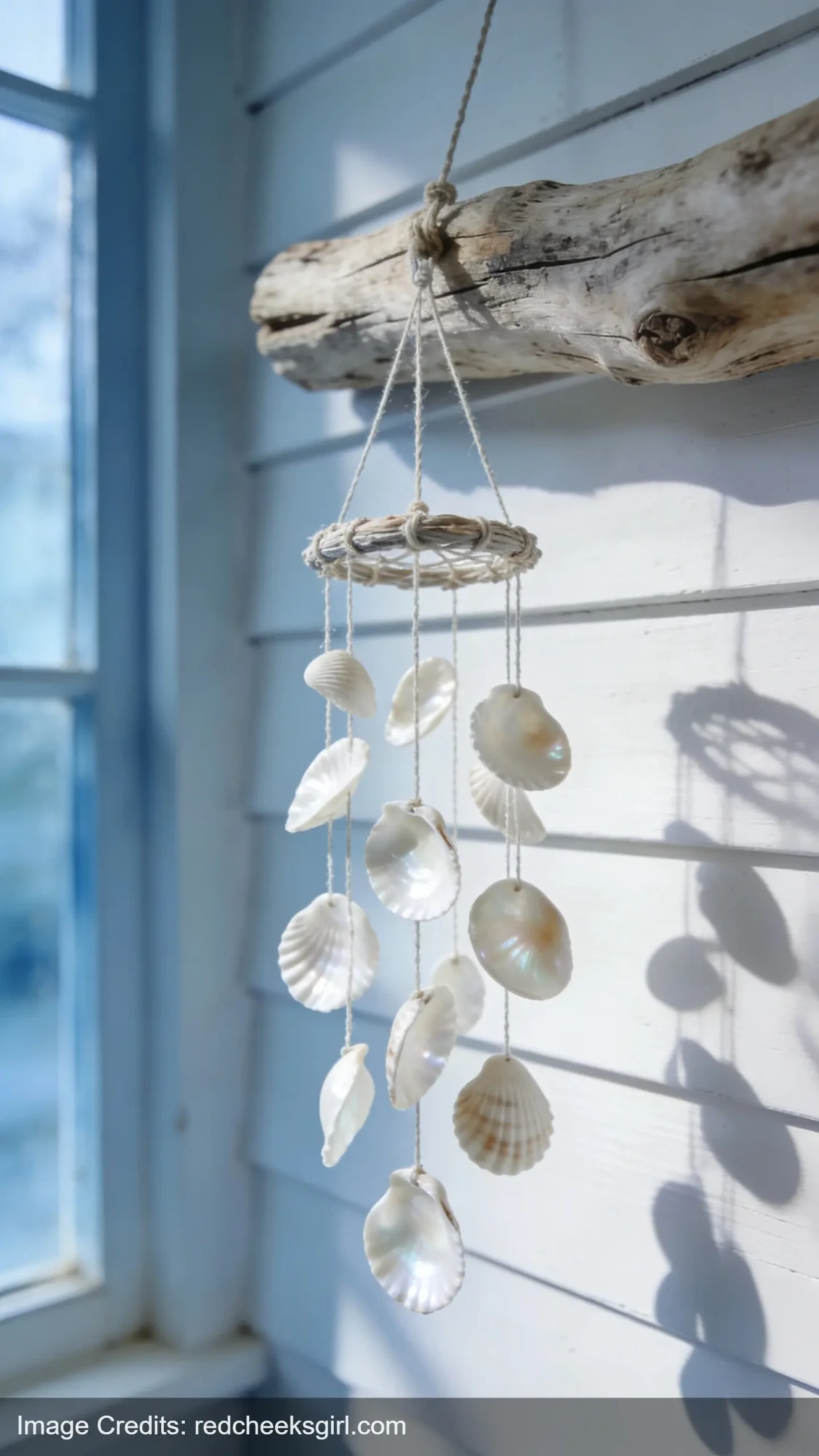 handmade shell wind chime with driftwood and natural shells hanging on white wall