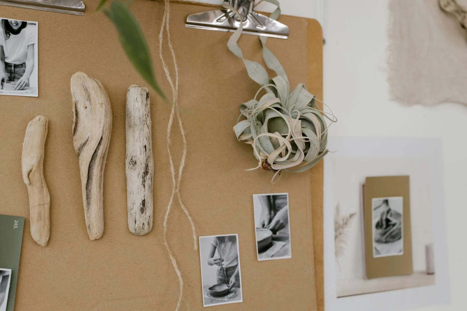 Creative display featuring driftwood, air plant, and photos on a corkboard.