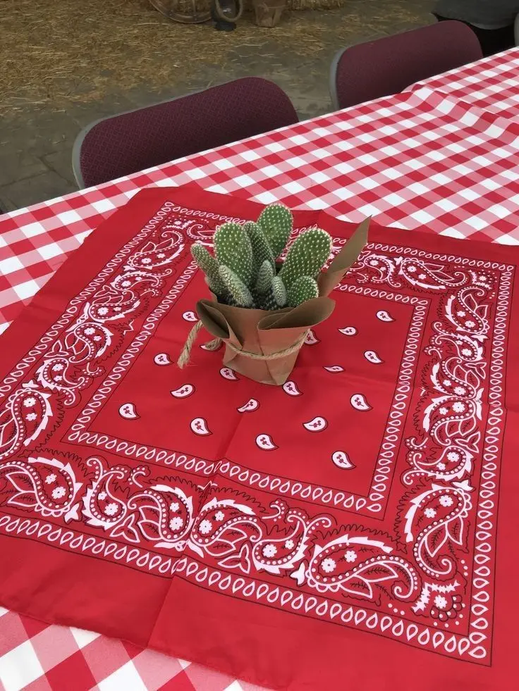 cowboy-birthday-party-ideas (1)