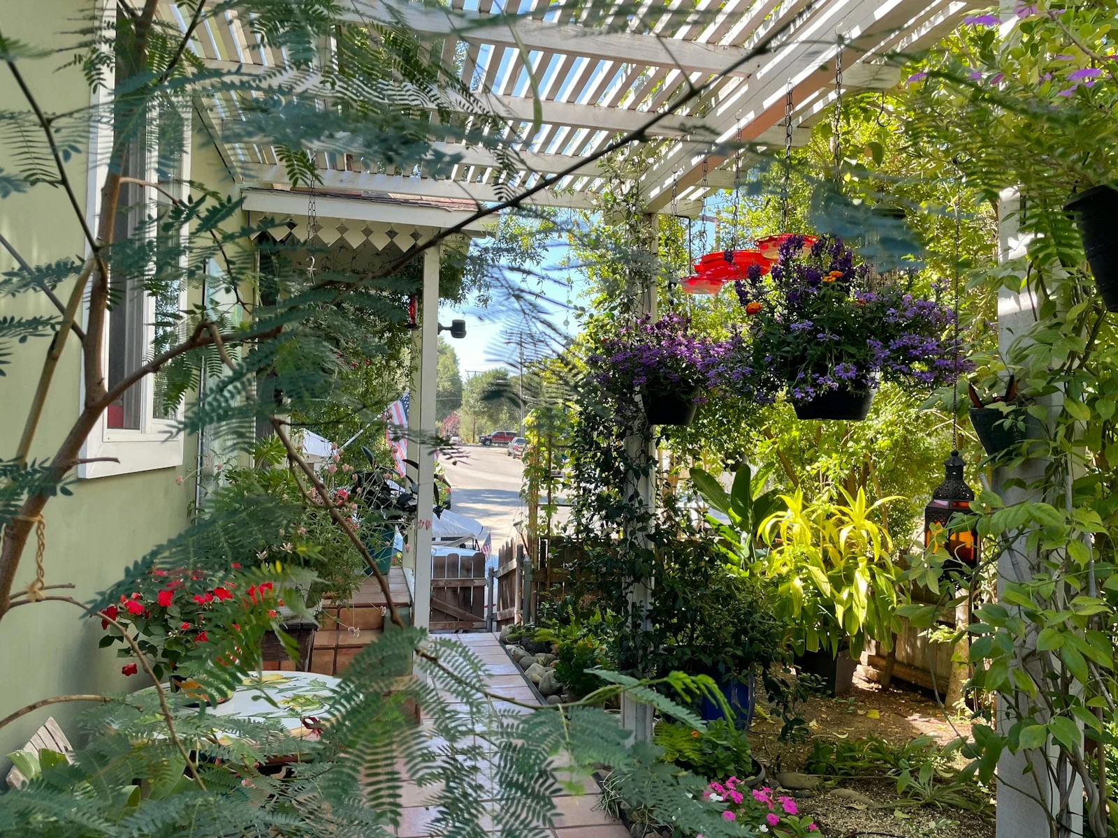 a house with a lot of plants in the yard