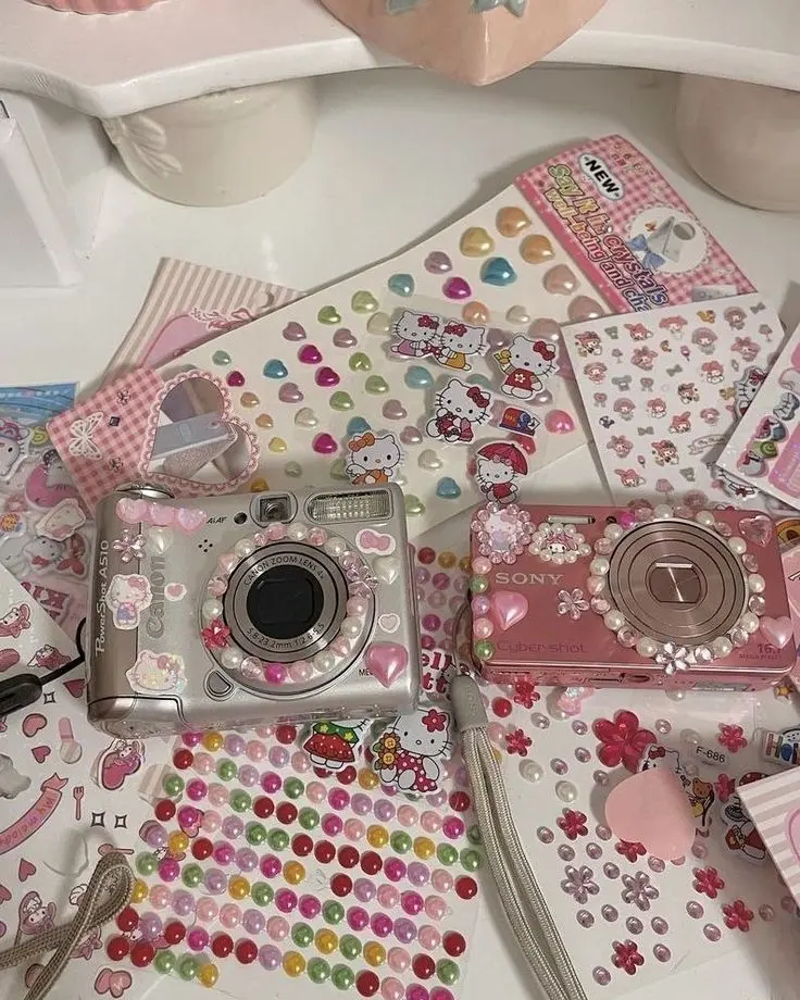 DIY Rhinestone Accessories That Make Your Bags, Belts and Shoes Look Runway-Ready (14)