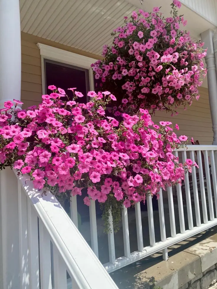pretty-patio-decor-plants-that-repel-mosquitoes (1)