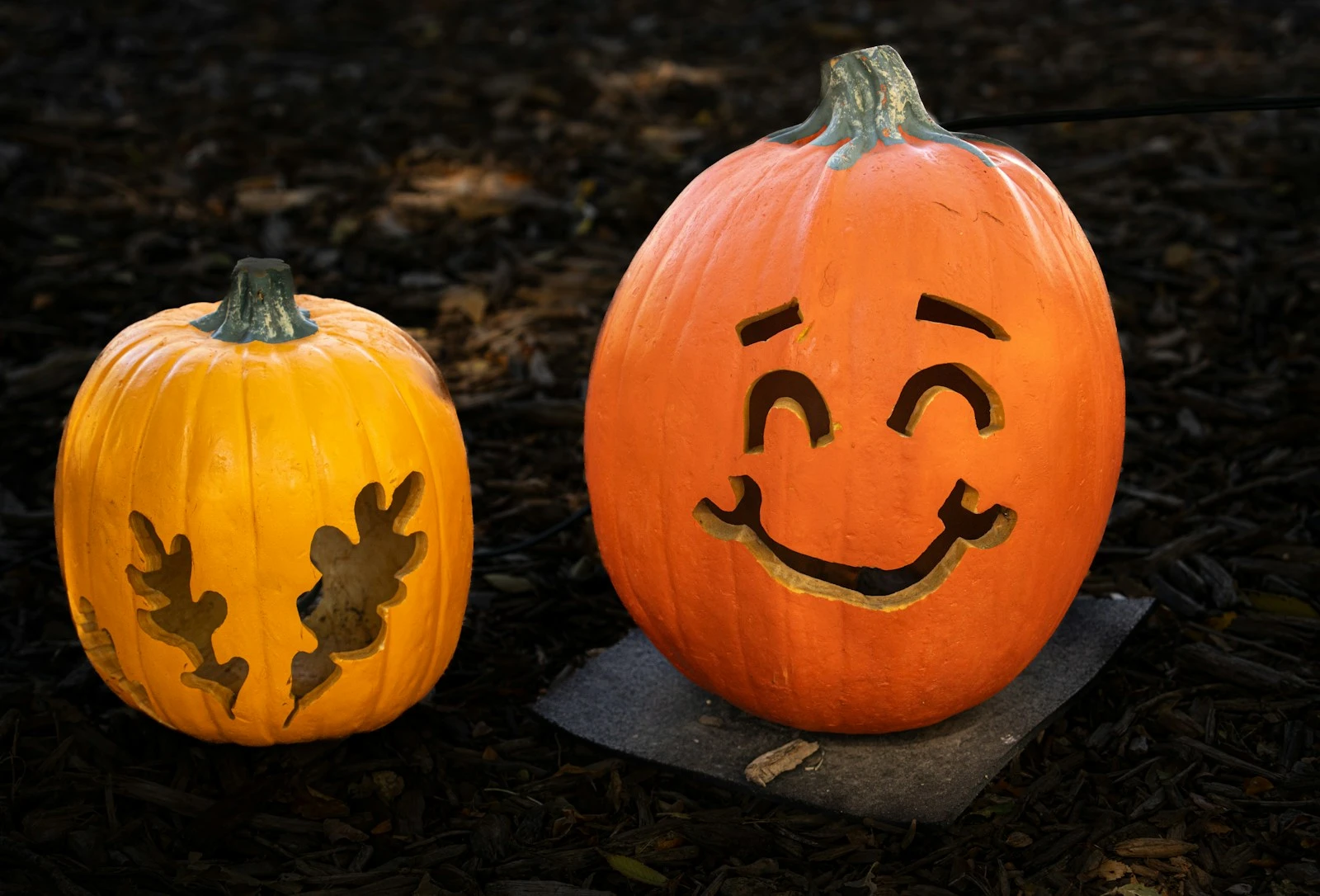 Two carved pumpkins sit on dark ground