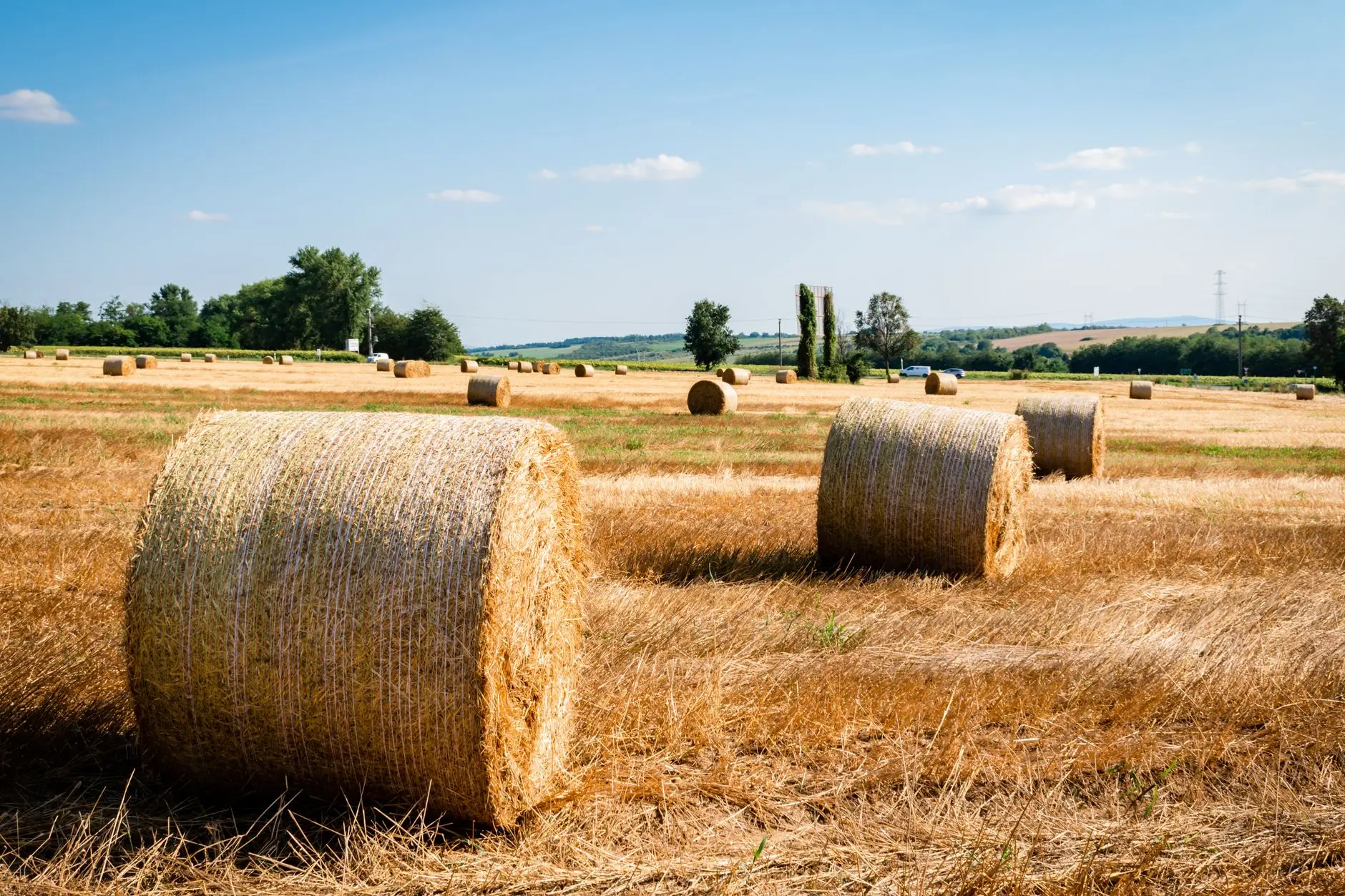 18 Cowboy and Western Party Games for a Wild West Bash
