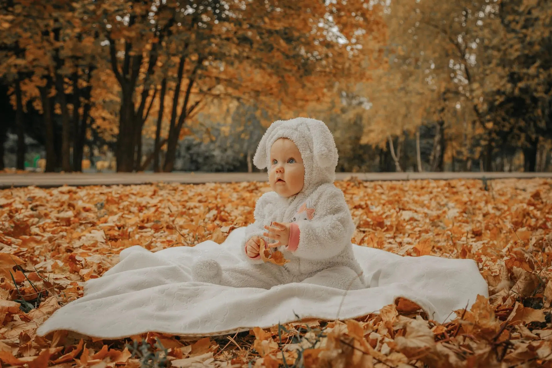 14 Little Pumpkin Girl Baby Shower Games Everyone Will Love