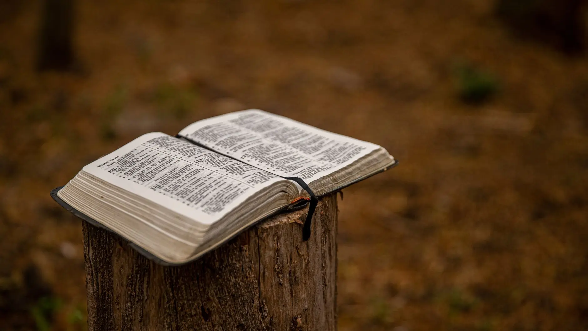 21 Bible Study Games That Make Small Group the Best Night of the Week