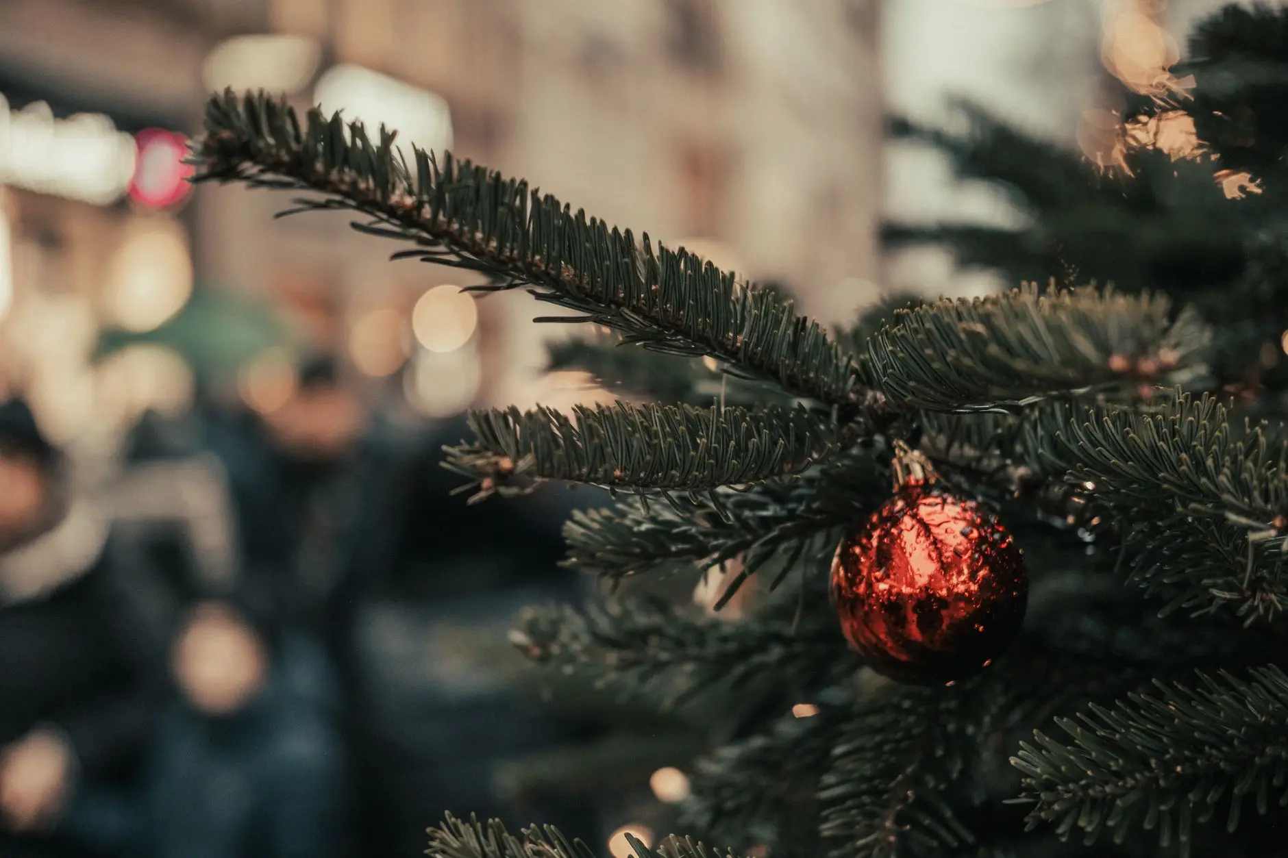 16 Christmas Eve Activities With Free Printables for Children Who Will Not Settle