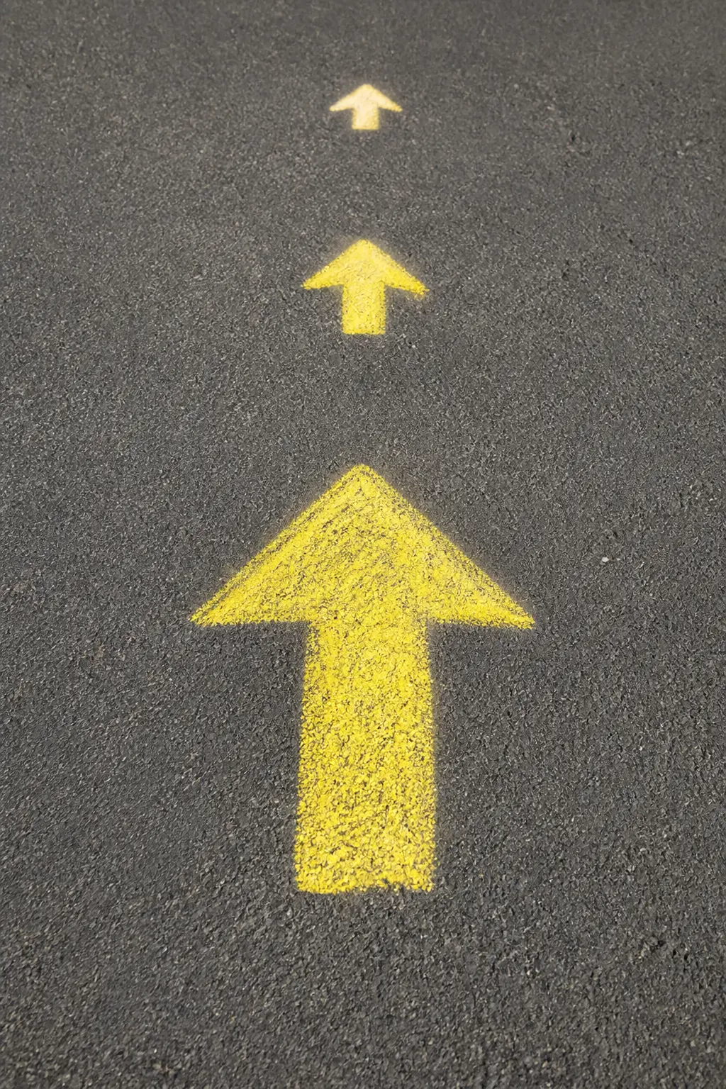 Chalk Arrow Path from Entry Gate to First Trunk