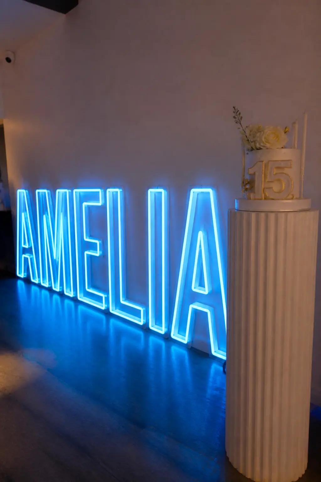 Neon Letters Hired for the Evening