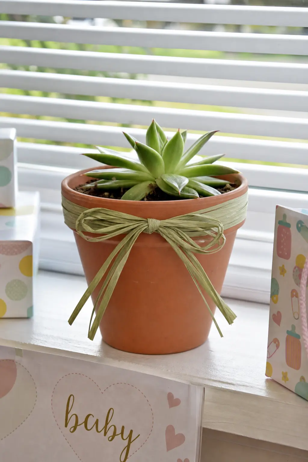 Succulent in a Terra Cotta Pot — A small succulent survives office neglect better than almost any other plant, which makes it a low-risk desk gift for someone