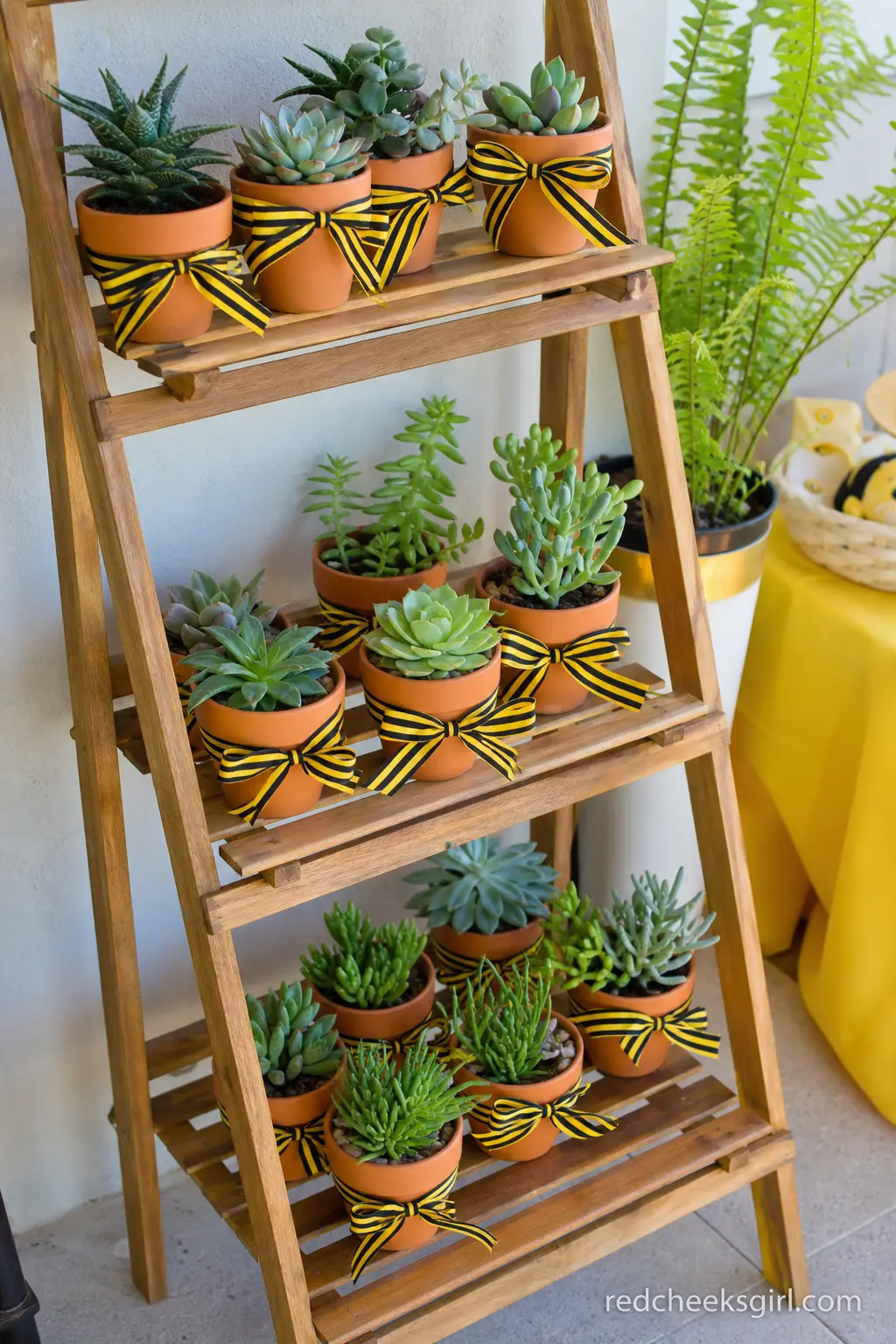 Mini Succulent Favor Shelf — A small succulent in a terracotta pot is a favor guests actually keep, unlike most of what comes home in a party bag. Bee baby