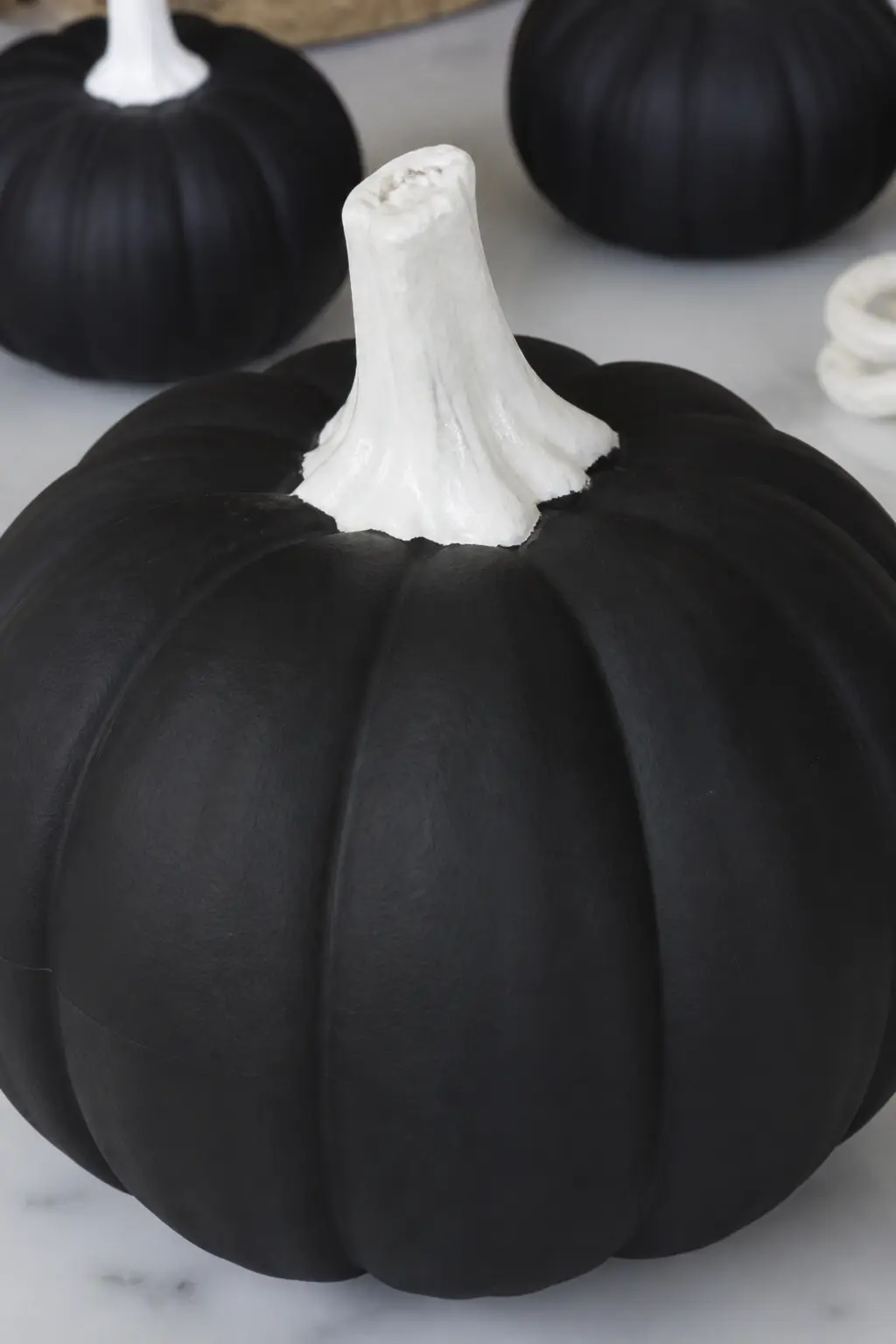 Matte Black with a Gloss White Stem — Paint the entire pumpkin body in two coats of matte black. Black and white painted pumpkin